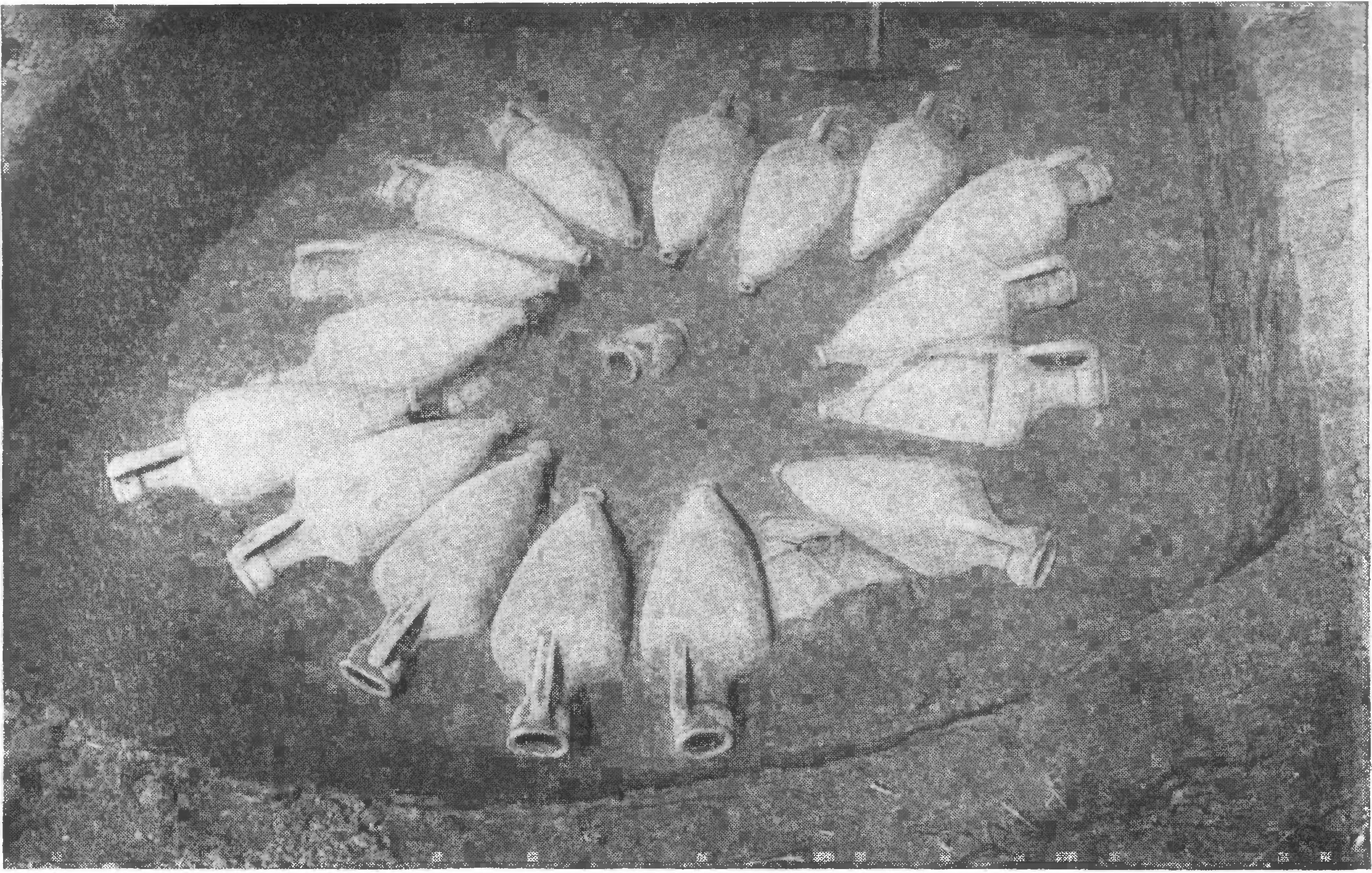 61. Богатое захоронение с кремацией (раскопки ольвийского некрополя 1911 г.) 61. Богатое захоронение с кремацией (раскопки ольвийского некрополя 1911 г.)