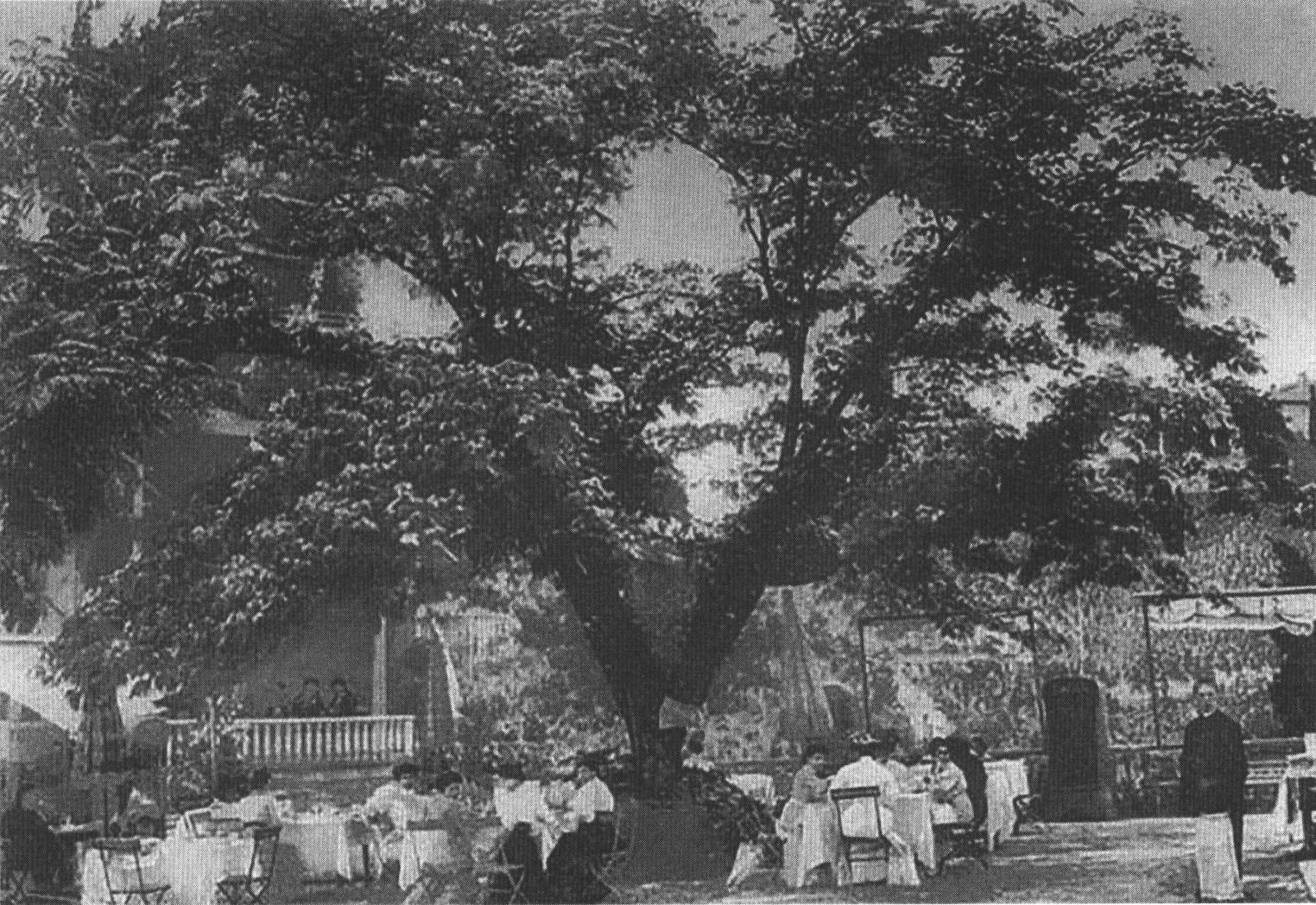 Курорт «Суук-Су». Площадка перед рестораном. Открытка 1900-х гг. Курорт «Суук-Су». Площадка перед рестораном. Открытка 1900-х гг.