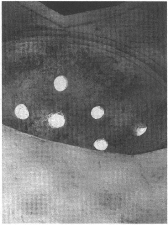 Свод и окна Гёзлёвской хамам. Фото автора Свод и окна Гёзлёвской хамам. Фото автора
