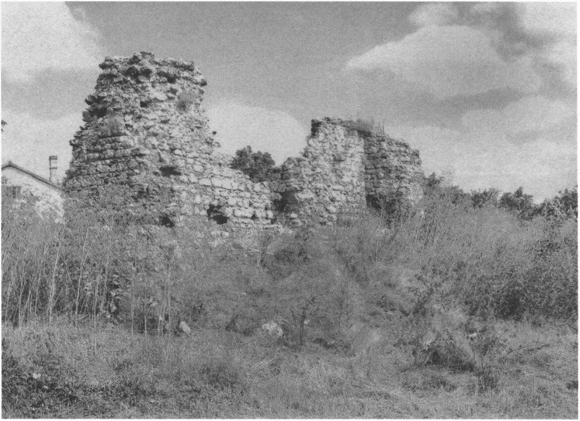 Руины эски-кърымской Куршут-джами или «Свинцовой» мечети. Фото автора Руины эски-кърымской Куршут-джами или «Свинцовой» мечети. Фото автора