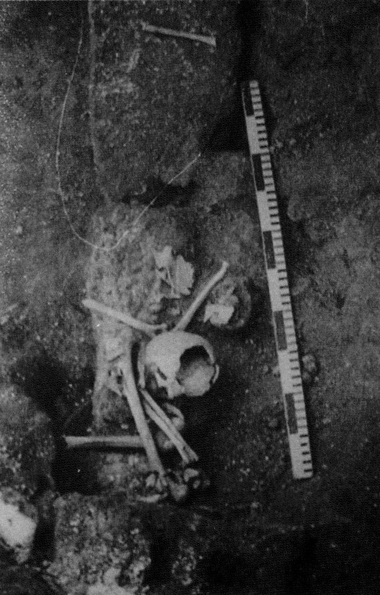 Мангуп. Укрепление A.XIV. Башня А.4. Человеческие останки в пороговой части. Вид с севера. Фото А.Г. Герцена Мангуп. Укрепление A.XIV. Башня А.4. Человеческие останки в пороговой части. Вид с севера. Фото А.Г. Герцена